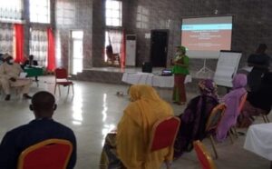 In June 2020, Gender, Social Inclusion, and Community Engagement Advisor Stella Abah facilitated a three-day workshop to engage stakeholders in designing and implementing activities to engage men within the health facility and address factors to reduce barriers to maternal and child health service utilization by men and women.