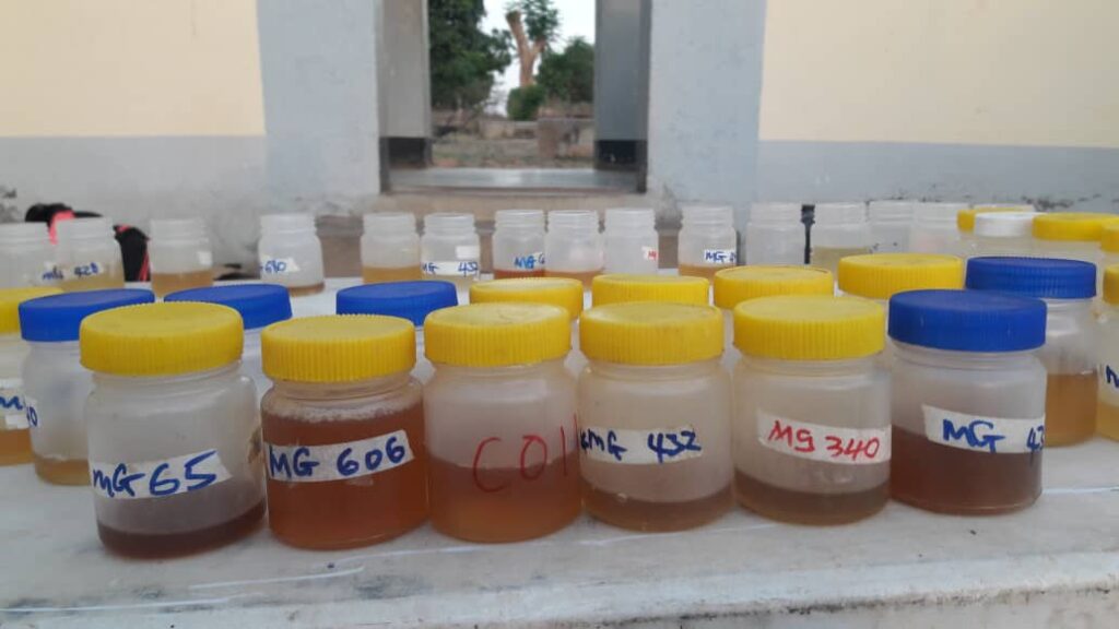 Urine with blood collected from children less than five years of age.